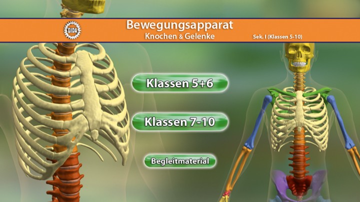 DVD - Bewegungsapparat Knochen & Gelenke | DVD´s | Biologie | Medien ...