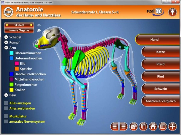 Anatomie der Haus- und Nutztiere - real 3D Software ...